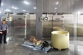 2臺日產(chǎn)10噸片冰機，湛江食品加工